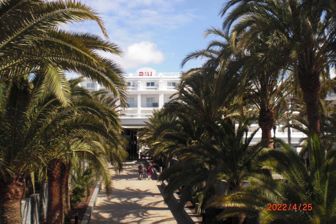 Ausblick Hotel Riu Palace Maspalomas Adults Only