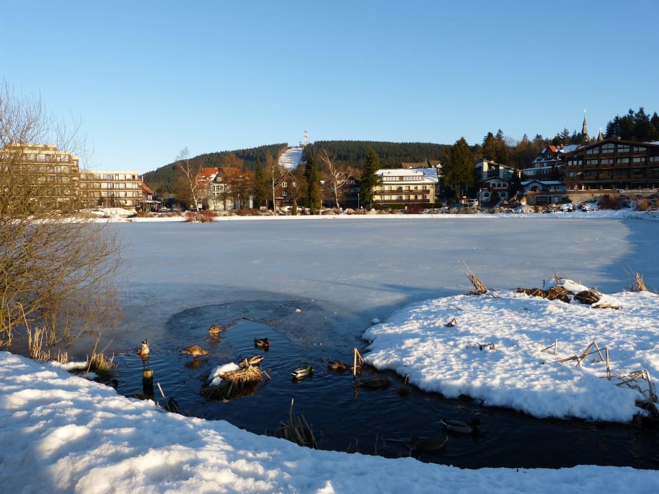 Blick aufs Hotel über den vereisten See Hotel Garni Blackcoms Erika