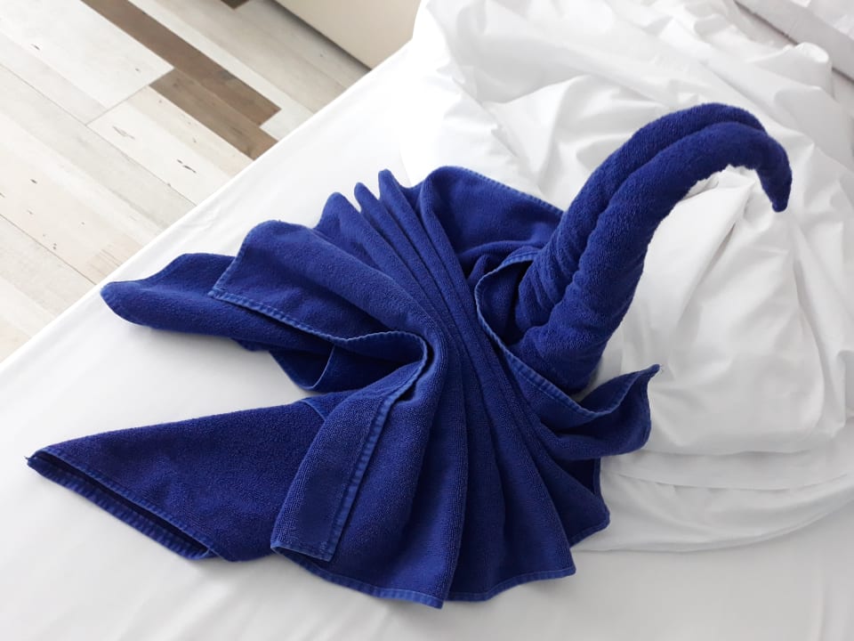 Zimmer Sentido Marea