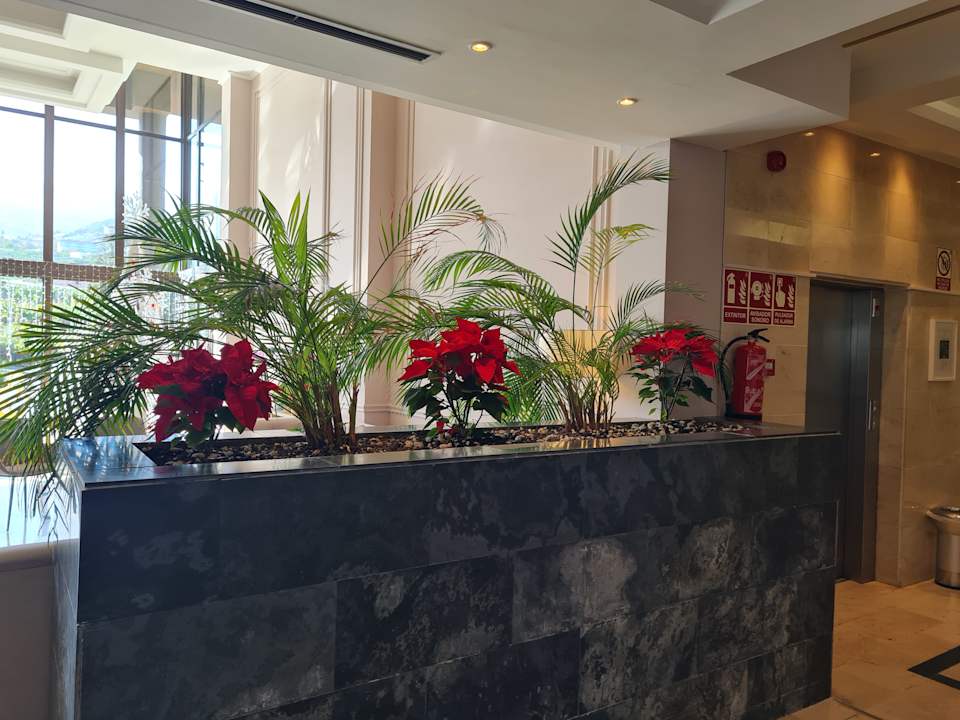 Lobby AluaSoul Orotava Valley