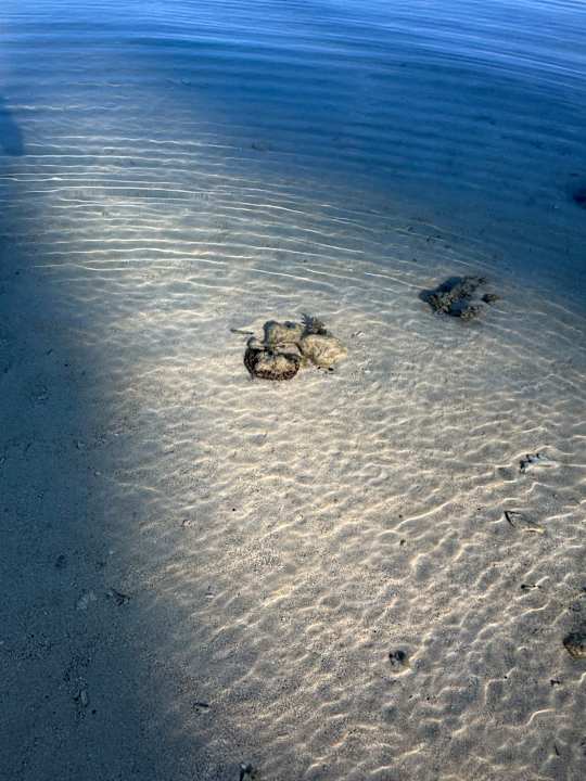 Strand La Pirogue Mauritius