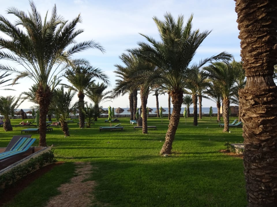 Gartenanlage Hotel Rosa Beach