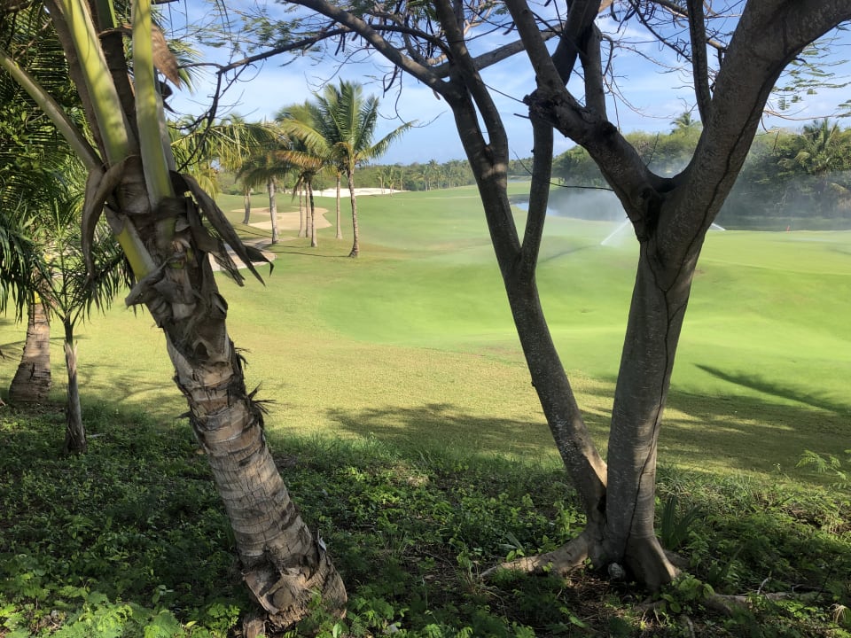 Gartenanlage Iberostar Waves Punta Cana