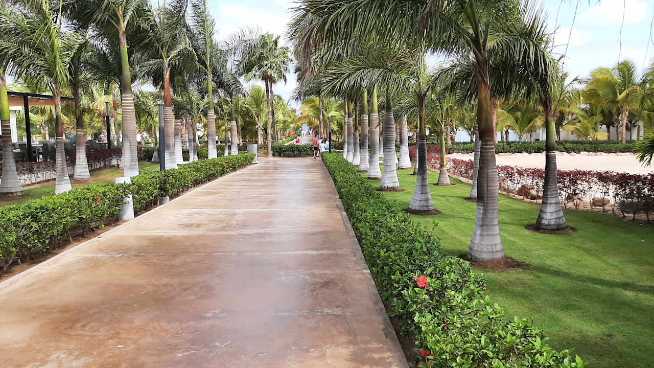 Gartenanlage Hotel Riu Palace Boavista