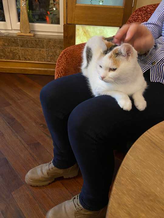 Sonstiges Spirit & SPA Hotel Birkenhof am Elfenhain