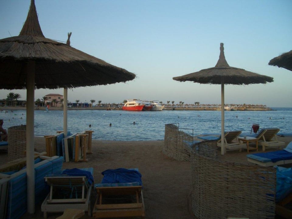 Strand am späten Nachmittag Beach Albatros Resort