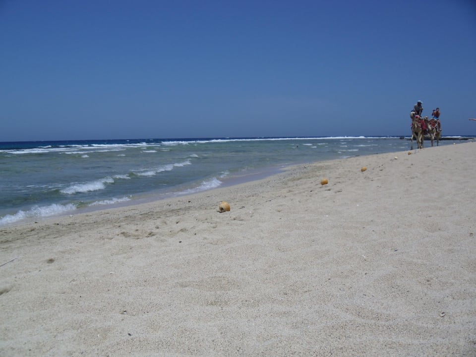 Plaza Malikia Resort Abu Dabbab