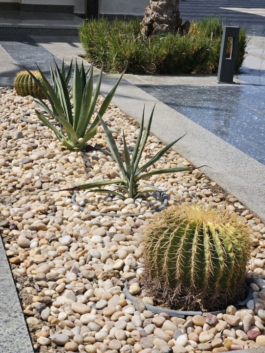 Ausblick Steigenberger Aqua Magic