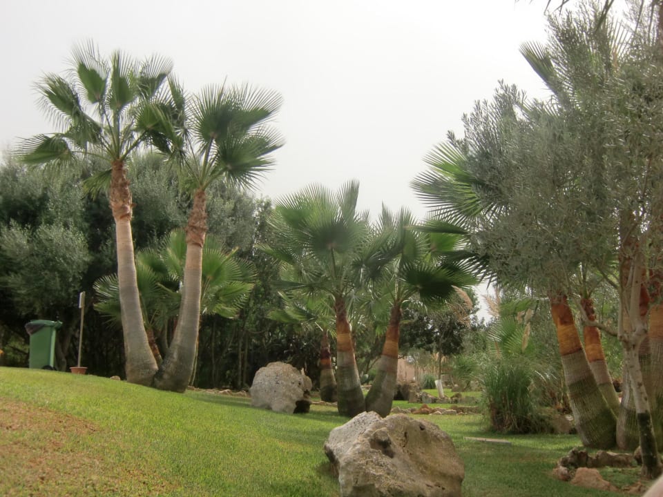 Traumhafter Garten rund um das Pool Finca Ses Rotes Velles