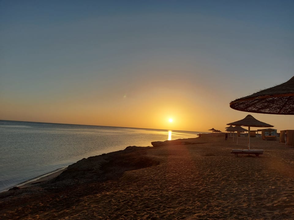 Strand Pickalbatros Sea World Resort - Marsa Alam