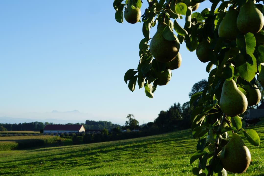 Ausblick Ferienhof Schmid