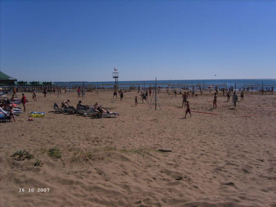 Strand voller Beachvolleyballfelder VONRESORT Golden Beach