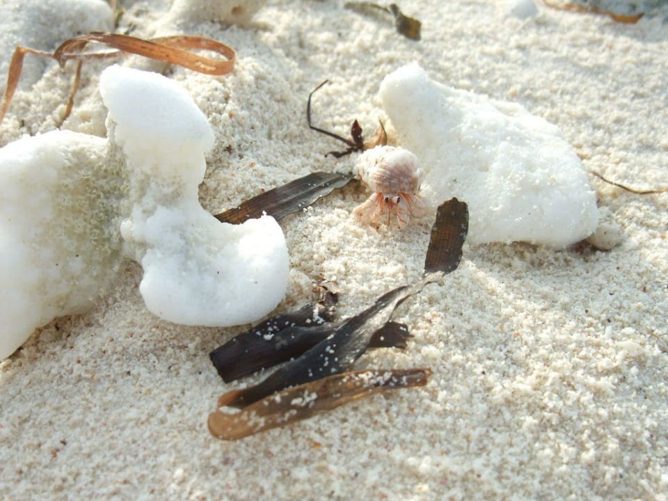 Песок Adaaran Select Hudhuran Fushi - Premium All Inclusive