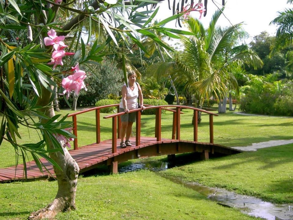 Romantik im Park Catalonia Punta Cana - All Inclusive