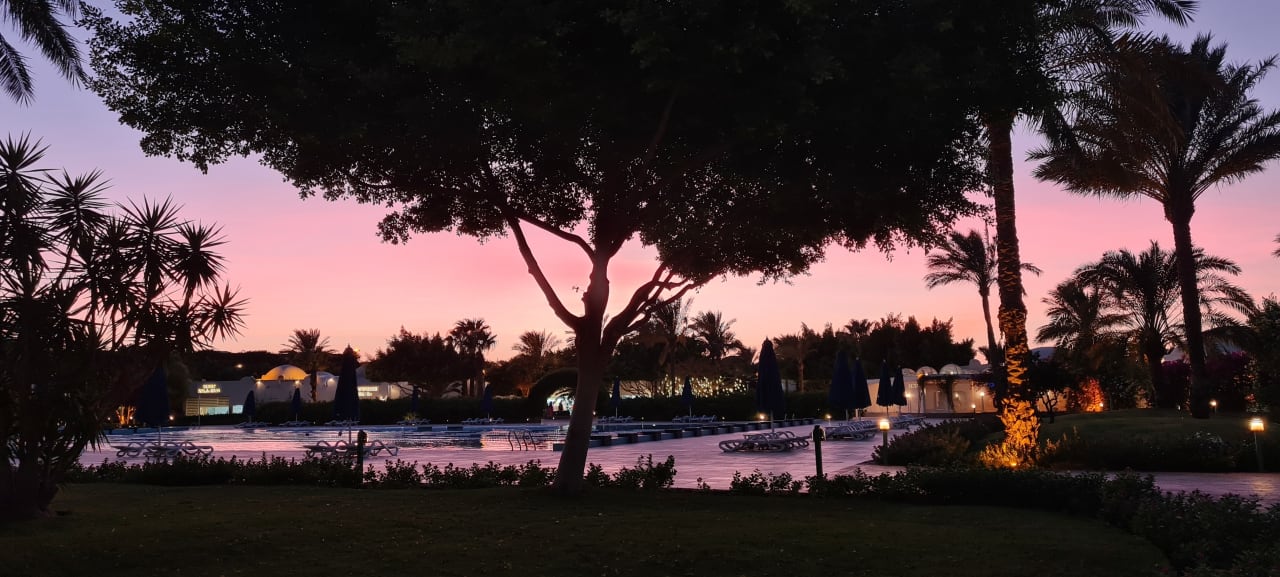 Außenansicht Desert Rose