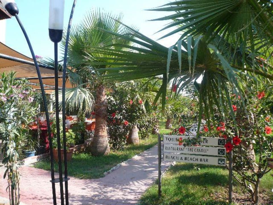 Weg zum Strand Hotel Royal Garden Beach