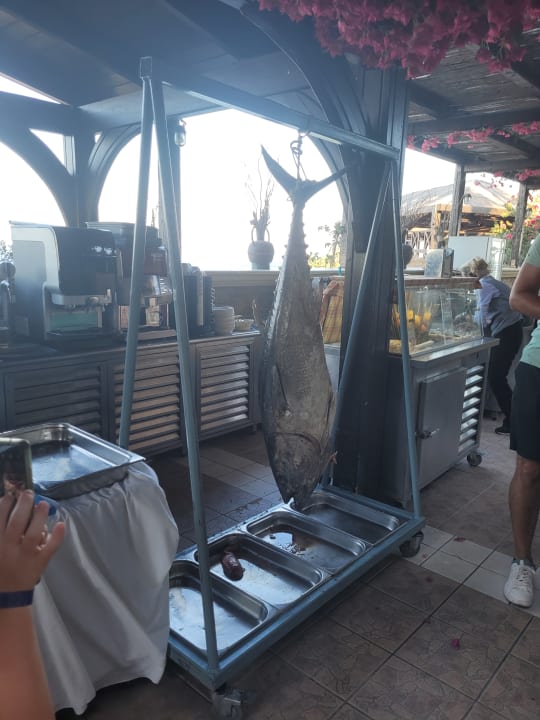 Gastro Hotel Kalithea Horizon Royal