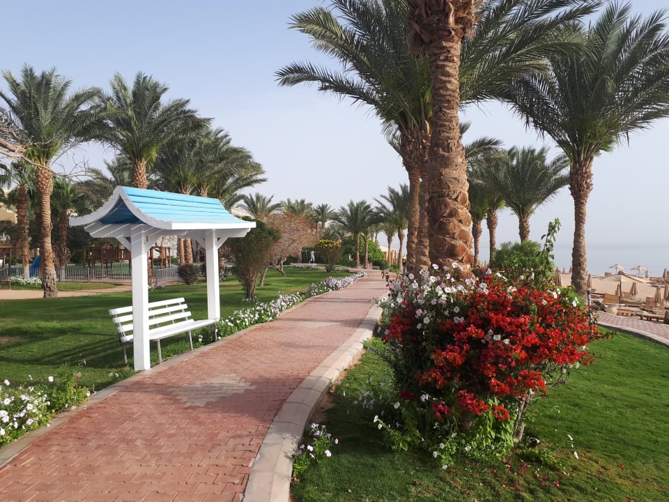 Garten Serenity Alpha Beach