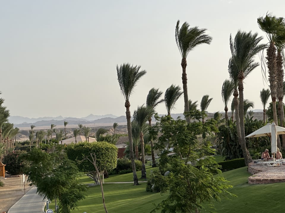 Gartenanlage Steigenberger Coraya Beach - Adults only