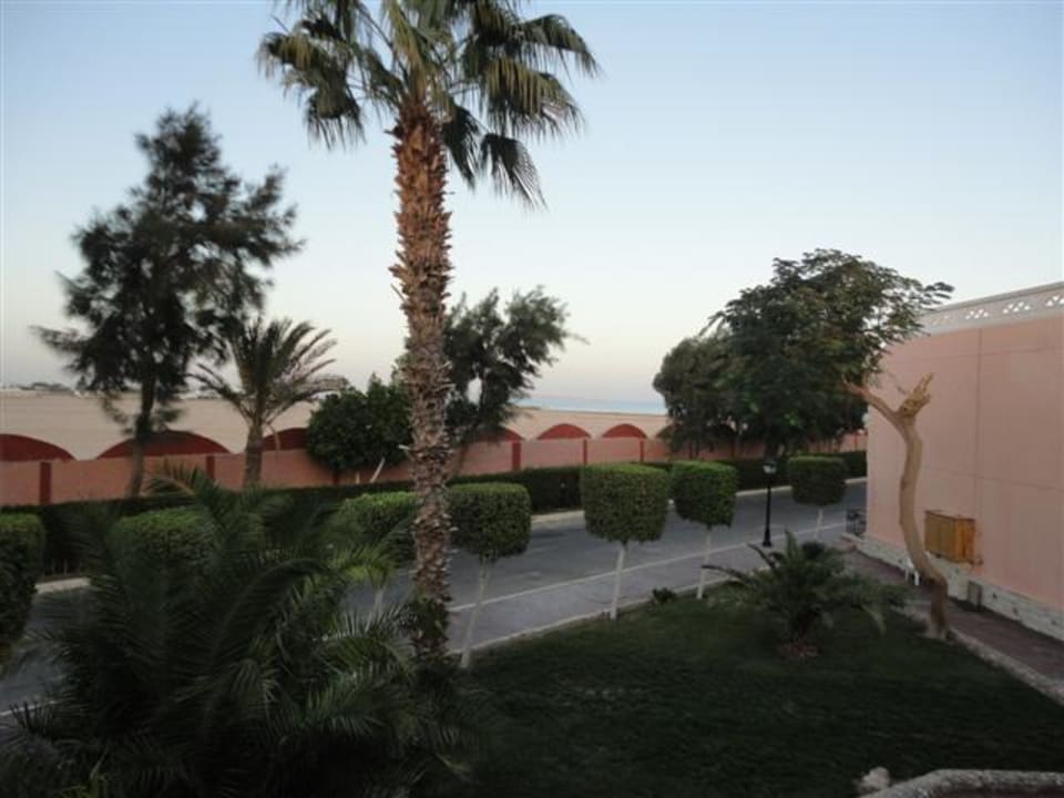 Ausblick vom Zimmer Beach Albatros Resort
