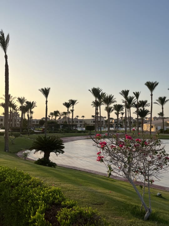 Gartenanlage Cleopatra Luxury Resort Makadi Bay