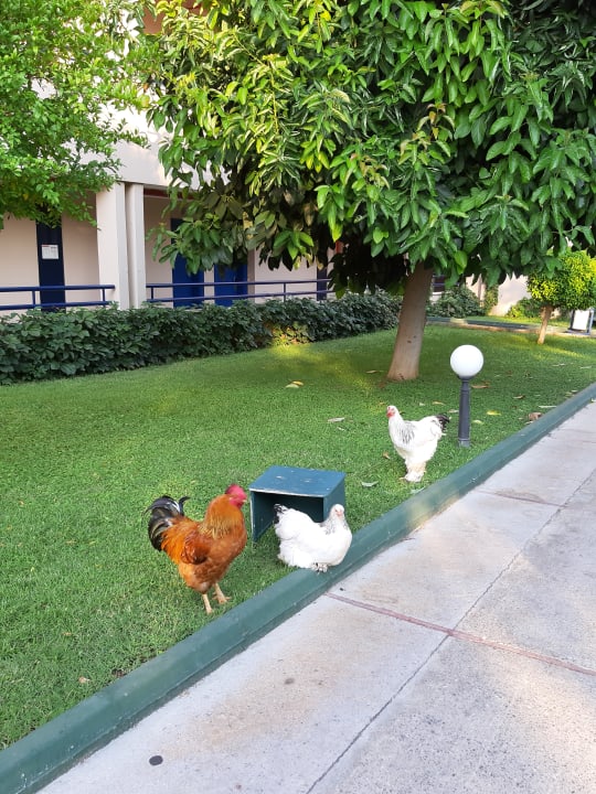 Außenansicht Labranda Alantur Resort