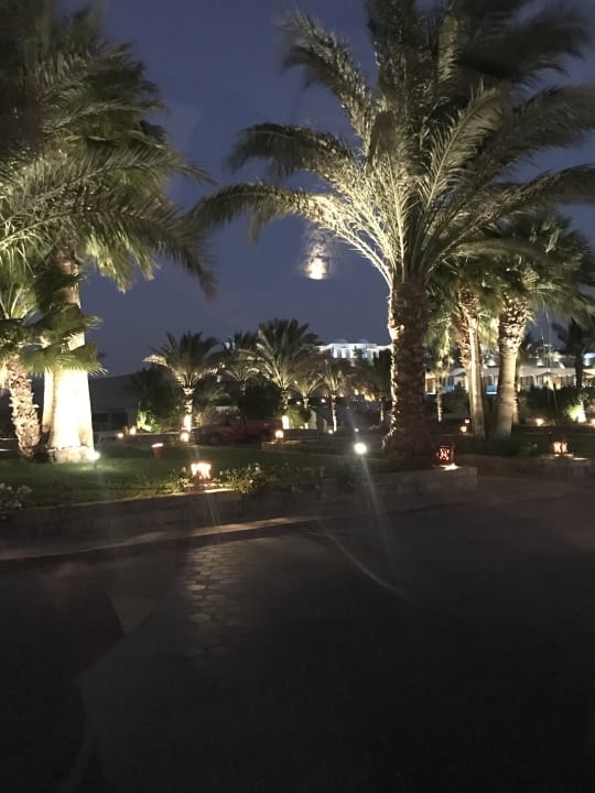 Gartenanlage Beach Albatros Resort