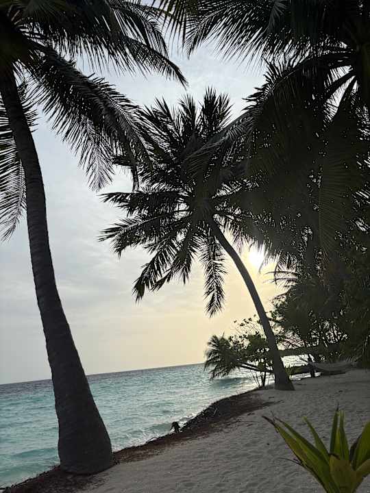 Strand Vilamendhoo Island Resort & Spa