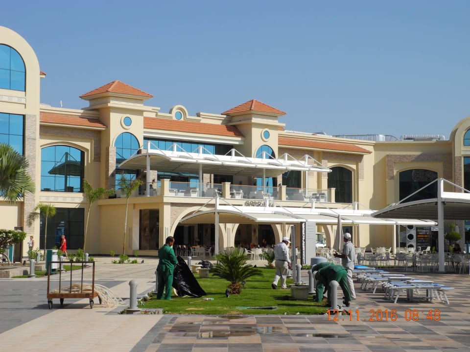 Ackern den ganzen Tag bei 30 Grad Pickalbatros White Beach Resort - Hurghada