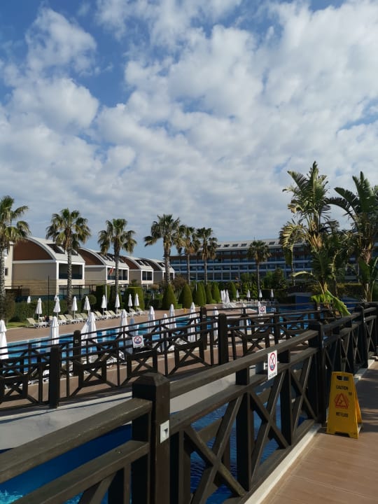 Ausblick TUI MAGIC LIFE Jacaranda