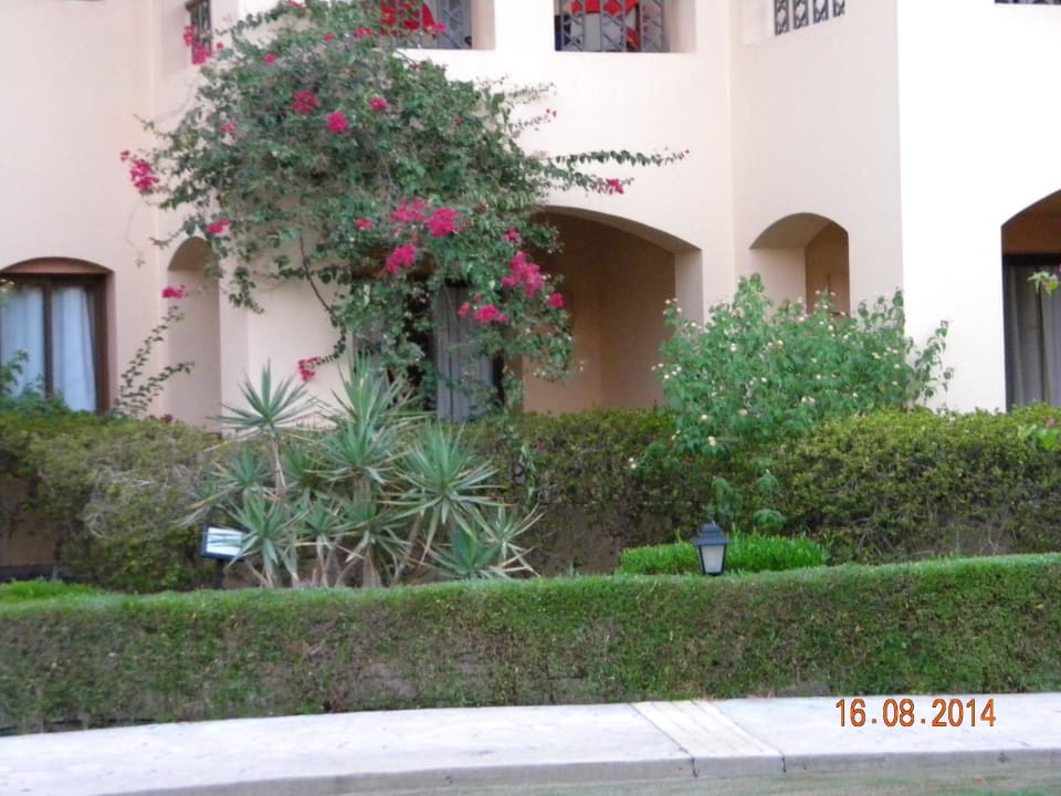 Terrasse unseres Zimmers Steigenberger Coraya Beach - Adults only