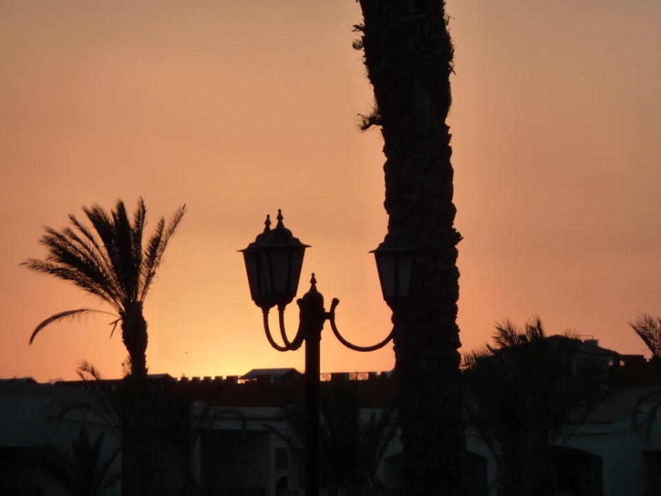 Sonnenuntergang Pickalbatros Dana Beach Resort - Hurghada