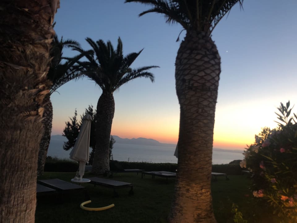 Ausblick ROBINSON DAIDALOS