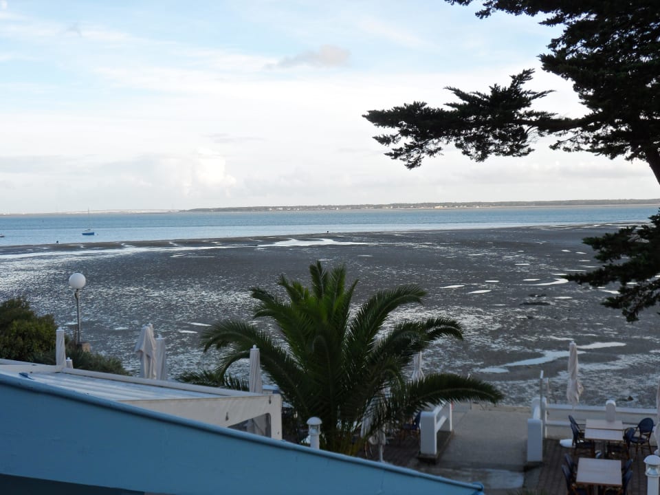 Le calme et la sérénité des lieux.. Hotel The Originals L'Albatros