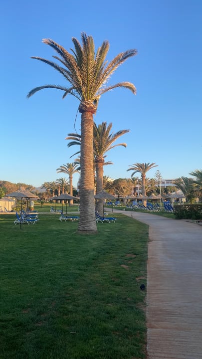 Gartenanlage Anissa Beach & Village