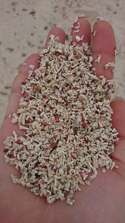 Strand Akumal Bay Beach & Wellness Resort