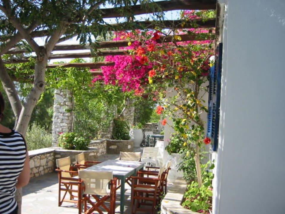 Frühstücksterrasse Hotel Manos