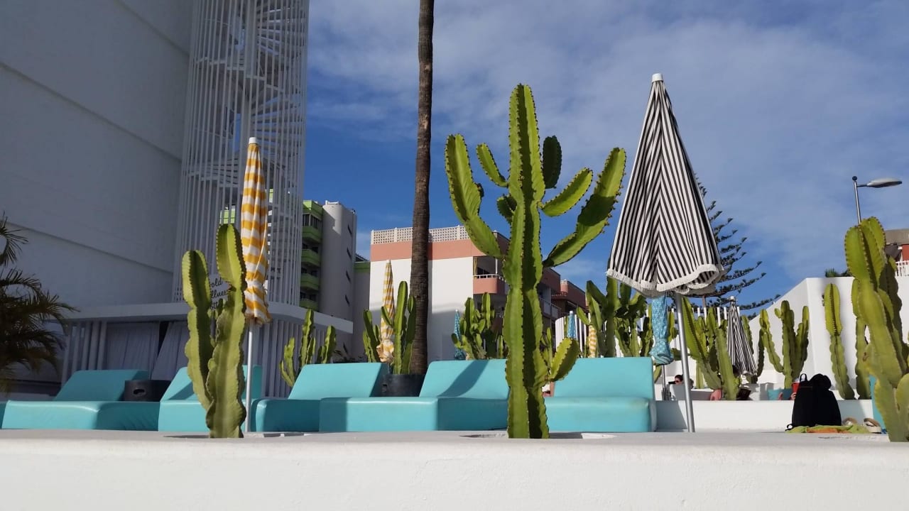 Liegen Hotel Gold by Marina