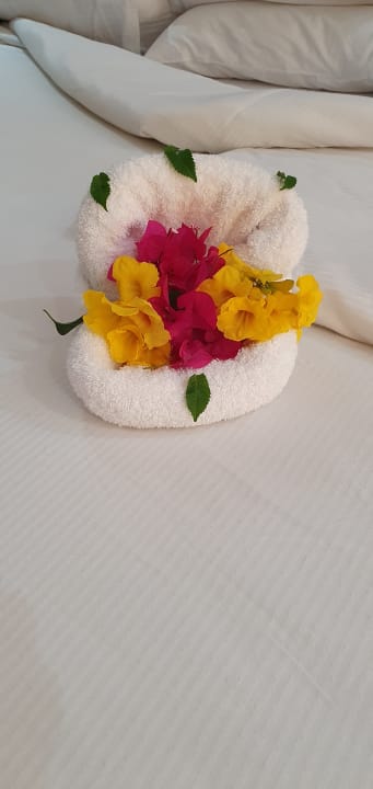 Zimmer Shams Prestige Abu Soma-Adults Only