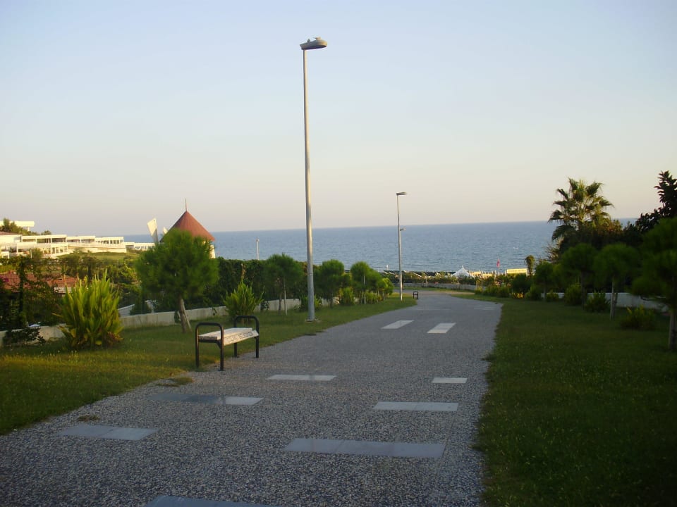 Výhľad na more cez záhradu Alba Resort Hotel
