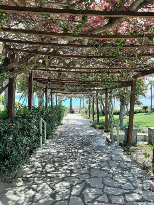 Gartenanlage Hotel Nissi Beach Resort