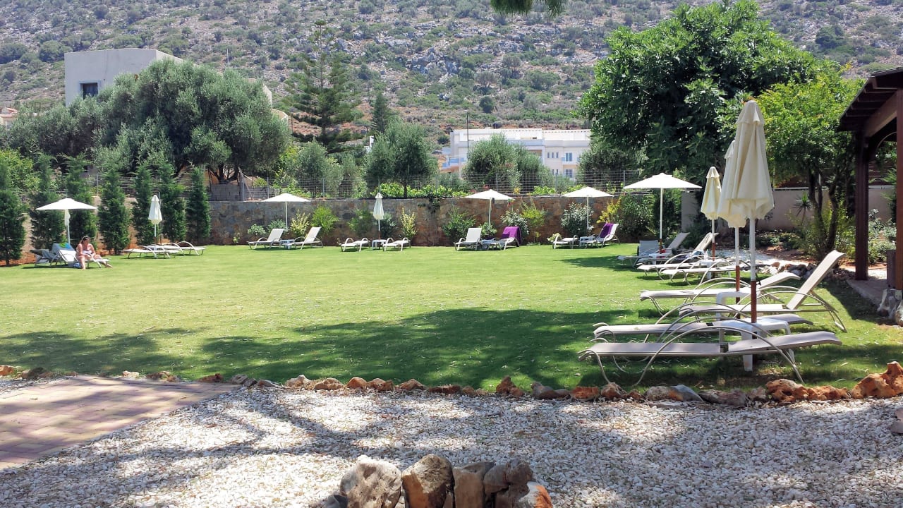 Liegewiese Cactus Royal