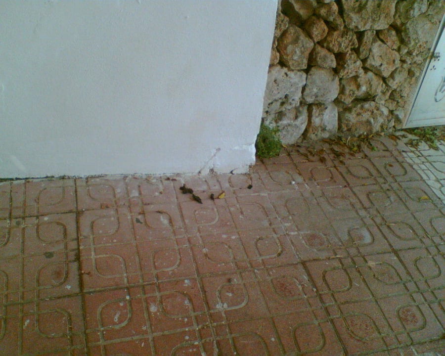 Auch die Tiere verewigen sich JS Portocolom Suites