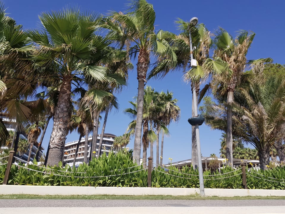 Außenansicht Acanthus Cennet Barut Collection