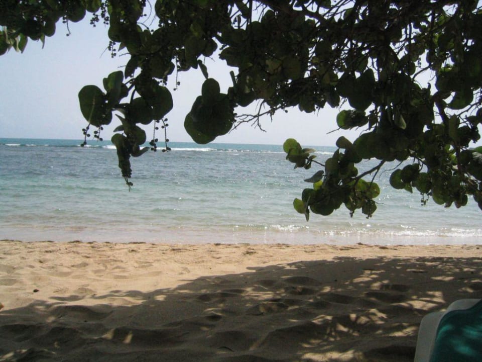 Strand Senator Puerto Plata Hotel