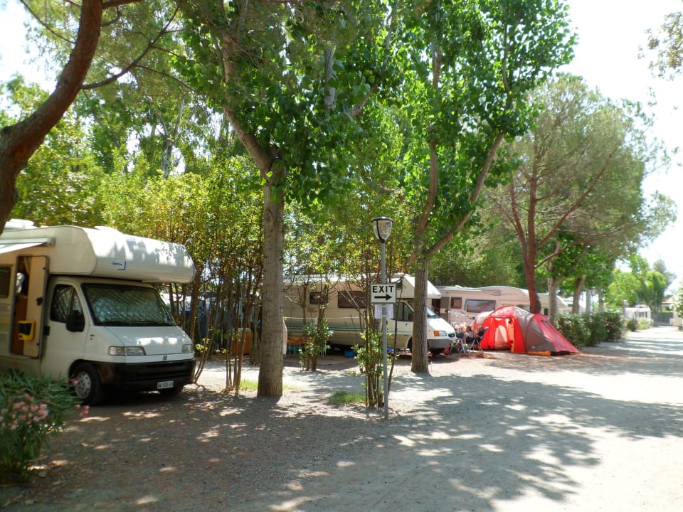 Camping life! New Camping Le Tamerici