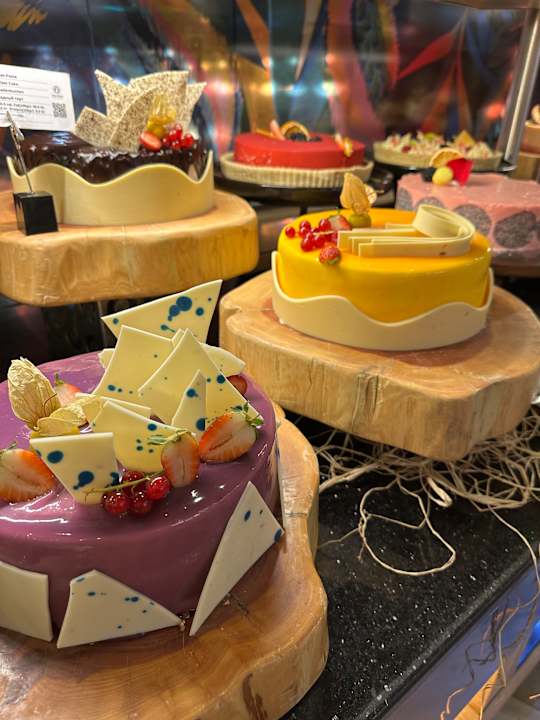 Gastro Delphin BE Grand