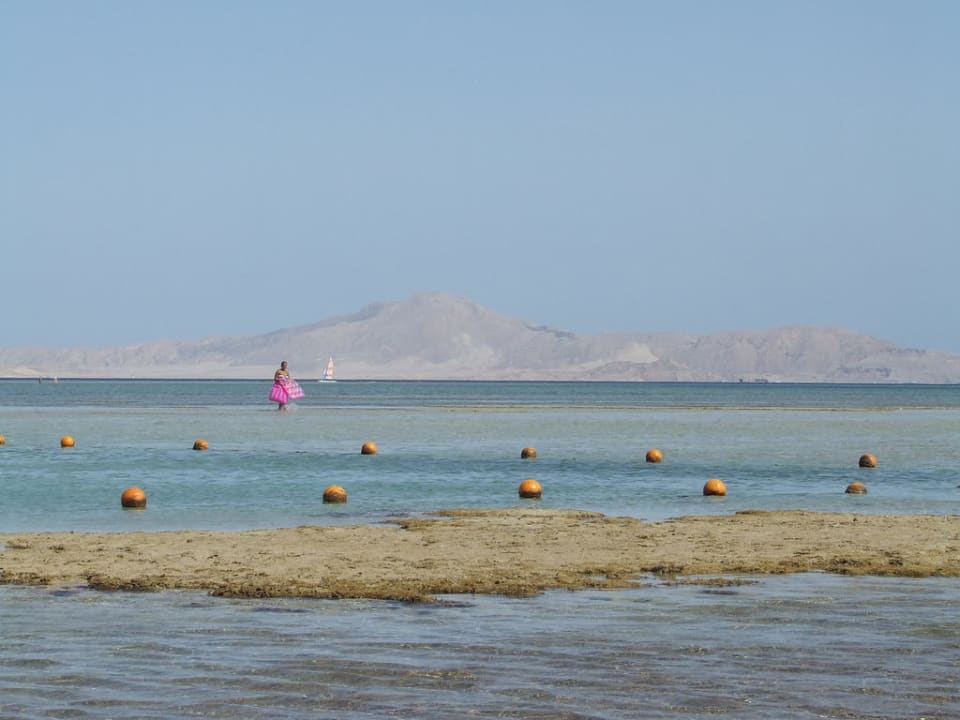 Widok na wyspę Tiran Jaz Mirabel Park & Club