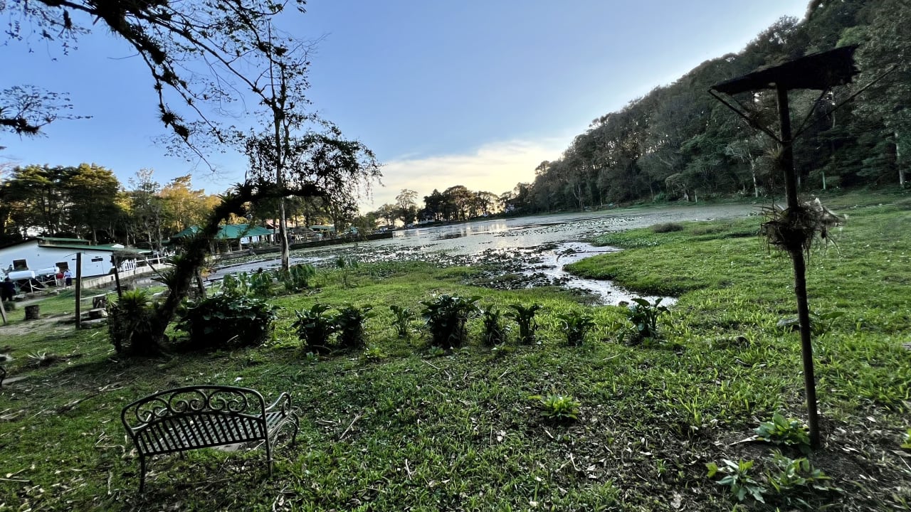 Gartenanlage Hotel Selva Negra