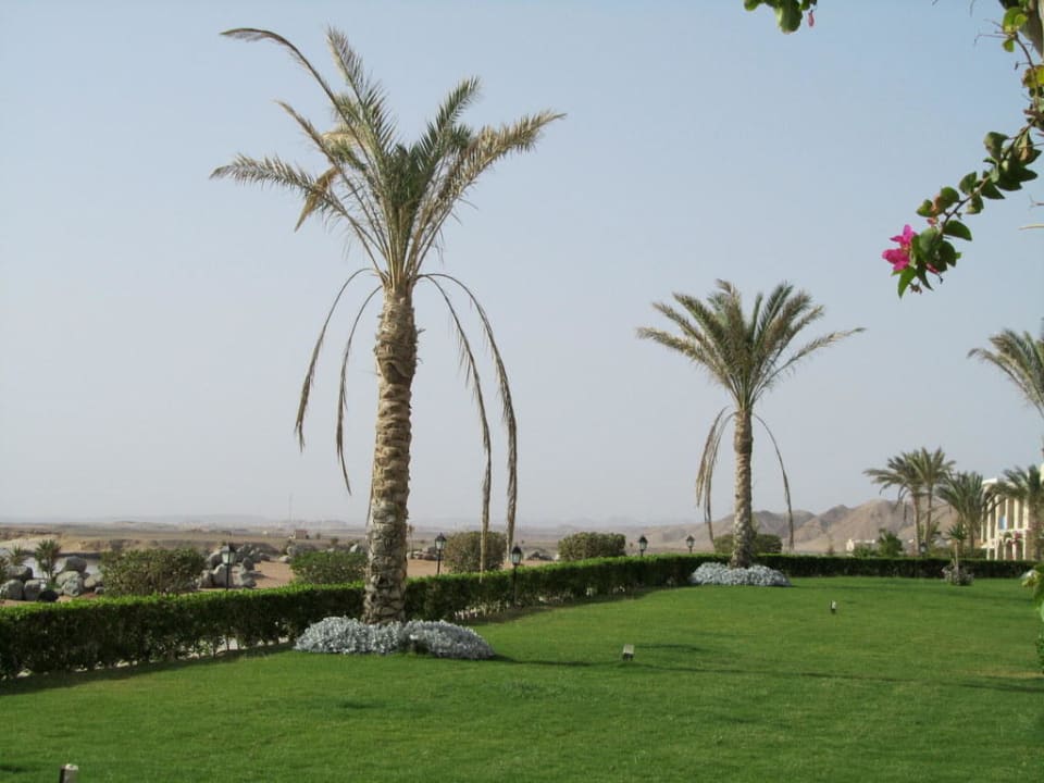 Blick vom Zimmer 16011 aus TUI MAGIC LIFE Kalawy